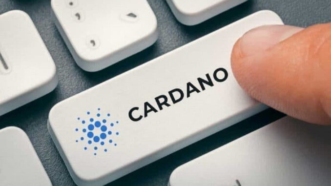 cardano-djed-stablecoin-testini-yeniden-etkinlestiriyor-kRRS8fv8.jpg