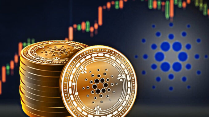 cardano-zincir-ici-islemler-2022de-50-kat-artti-peki-bunun-anlami-ne-ENZCWZDk.jpg
