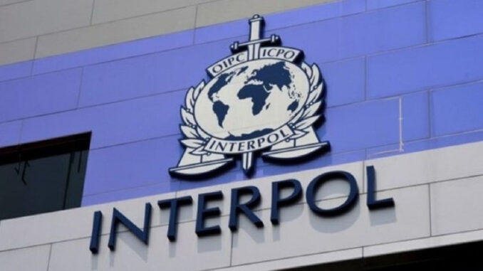 interpol-kriptoyla-ilgili-suclari-bastirmak-icin-ozel-bir-ekip-kurdu-bAwJlBKH.jpg