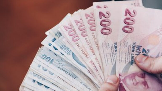 parasini-katlamak-isteyenler-buraya-tuik-acikladi-bunlara-yatirim-yapin-uAwAl6x8.jpg